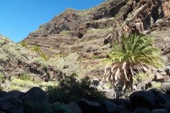 La-Gomera-2009_04-052