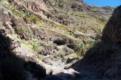La-Gomera-2009_04-053