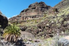 La-Gomera-2009_04-054