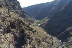 La-Gomera-2009_04-056