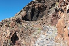 La-Gomera-2009_04-058