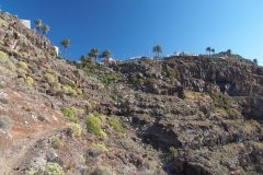 La-Gomera-2009_04-060