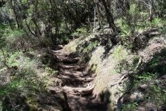 La-Gomera-2009_04-074