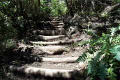 La-Gomera-2009_04-079