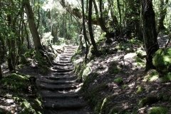 La-Gomera-2009_04-086
