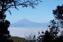 La-Gomera-2009_04-090