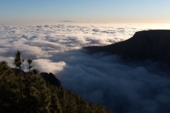 La-Gomera-2009_04-101