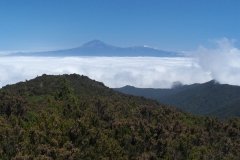 La-Gomera-2009_04-106