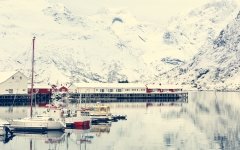 2024_02-Lofoten-0005